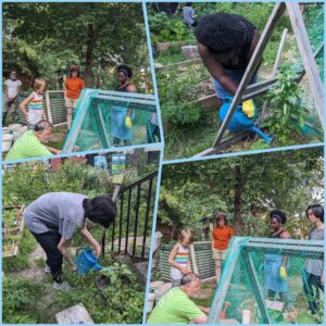 Garden Volunteering at Garden@Kimbourne 480544594 1059441892887811 6869213876095290408 n