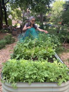 Garden Volunteering at Garden@Kimbourne 721135956 1452583496906980 6296544137604858725 n