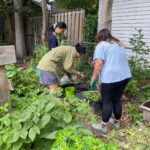 ig garden reel sept 1 (1)