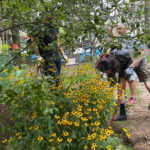 ig garden reel sept 1 (5)