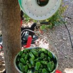 photo 2026 09 18 14 30 12